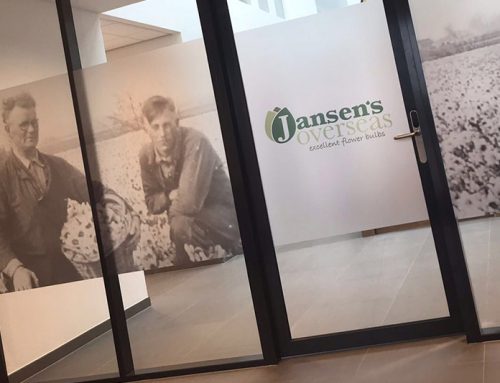 Jansen’s Overseas zandstraaleffect folie